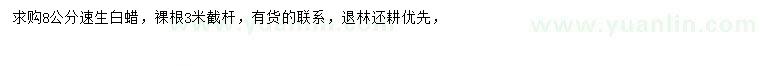 求購8公分速生白蠟