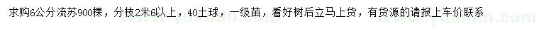 求購6公分流蘇