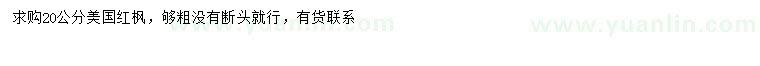 求購20公分美國紅楓