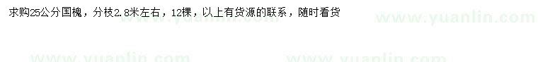 求購25公分國槐