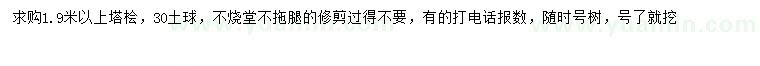 求購1.9米以上塔檜