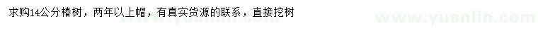 求購(gòu)14公分椿樹(shù)