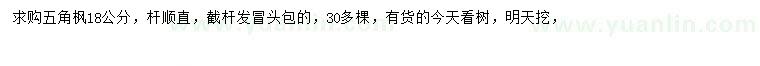 求購18公分五角楓