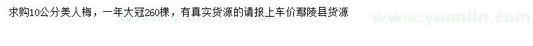 求購10公分美人梅