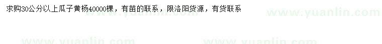 求購(gòu)30公分以上瓜子黃楊