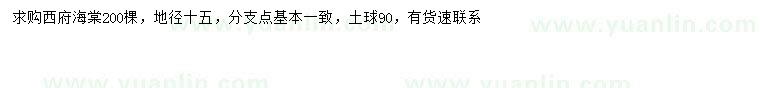 求購地徑15公分西府海棠