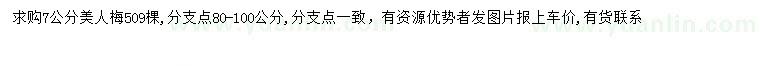 求購7公分美人梅
