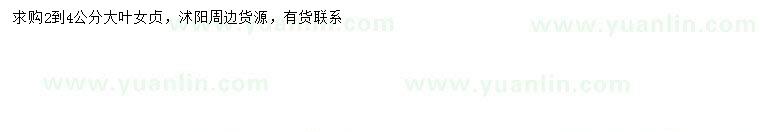 求購2-4公分大葉女貞