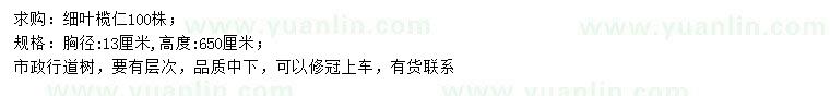 求購(gòu)胸徑13公分細(xì)葉欖仁