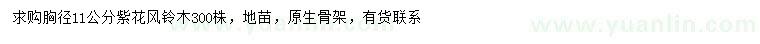 求購(gòu)胸徑11公分紫花風(fēng)鈴木