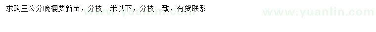 求購(gòu)3公分晚櫻