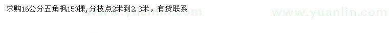 求購(gòu)16公分五角楓