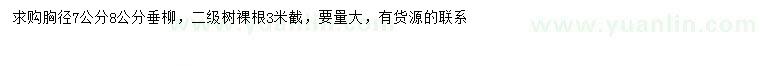 求購胸徑7、8公分垂柳