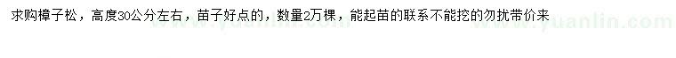 求購高30公分左右樟子松