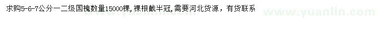 求購5-7公分國槐