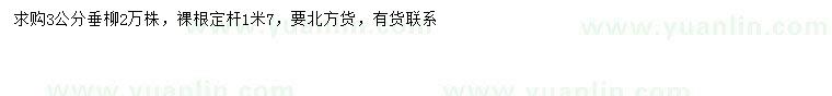 求購(gòu)3公分垂柳
