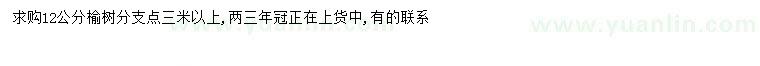 求購12公分榆樹