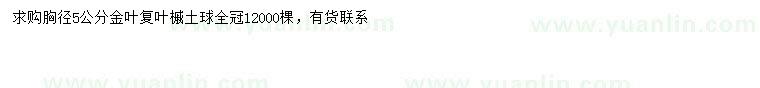 求購(gòu)胸徑5公分金葉復(fù)葉槭