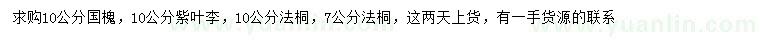 求購國槐、紫葉李、法桐等