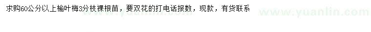 求購(gòu)60公分以上榆葉梅