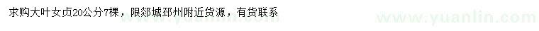 求購20公分大葉女貞
