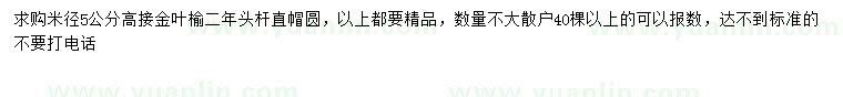 求購米徑5公分高接金葉榆