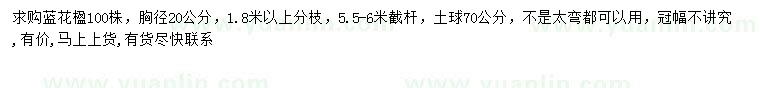 求購胸徑20公分藍(lán)花楹
