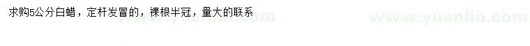 求購5公分白蠟
