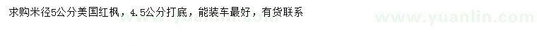求購米徑5公分美國紅楓