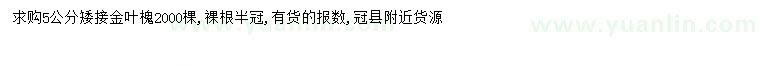 求購5公分金葉槐