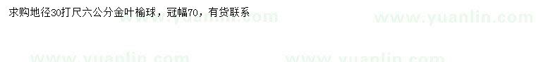 求購30量6公分金葉榆球