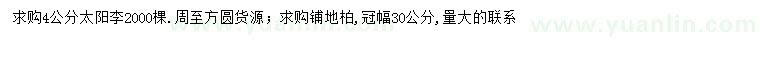 求購(gòu)4公分太陽李、冠幅30公分鋪地柏