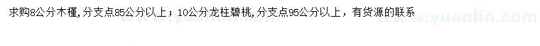 求購8公分木槿、10公分龍柱碧桃