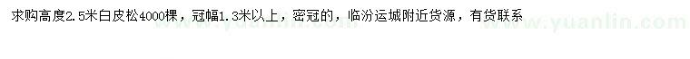 求購高2.5米白皮松