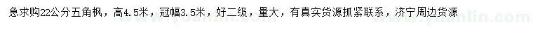 求購22公分五角楓