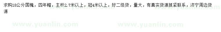求購18公分國槐