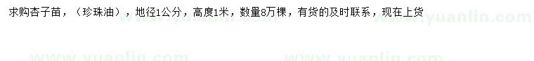 求購(gòu)地徑1公分杏子小苗