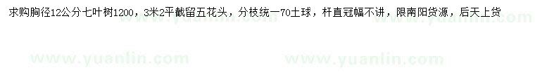 求購胸徑12公分七葉樹