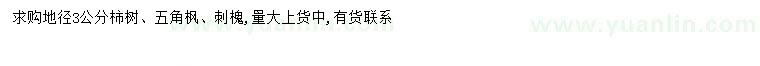 求購(gòu)柿子樹(shù)、五角楓、刺槐