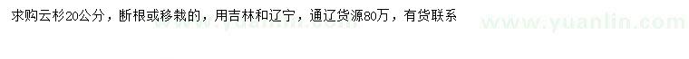 求購20公分云杉
