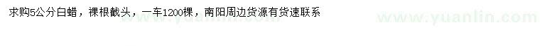 求購5公分白蠟