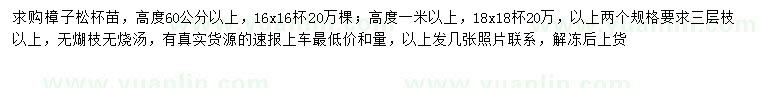 求購高60公分以上樟子松