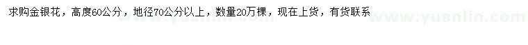 求購(gòu)高60公分金銀花