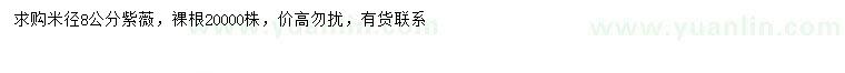 求購米徑8公分紫薇