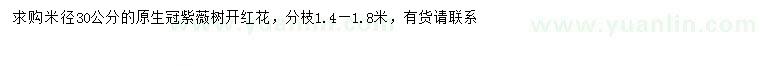 求購米徑30公分紅花紫薇
