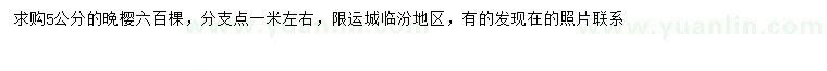 求購5公分晚櫻