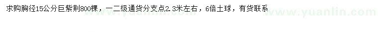 求購胸徑15公分巨紫荊
