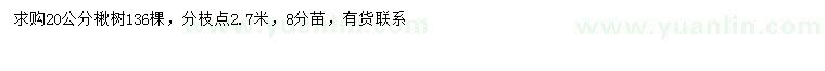 求購20公分楸樹