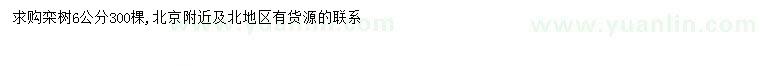 求購6公分欒樹
