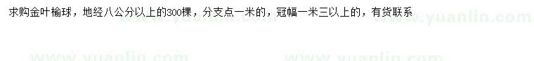 求購冠幅1.3米以上金葉榆球